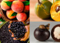 Top 10 melhores frutas do mundo