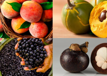 Top 10 melhores frutas do mundo