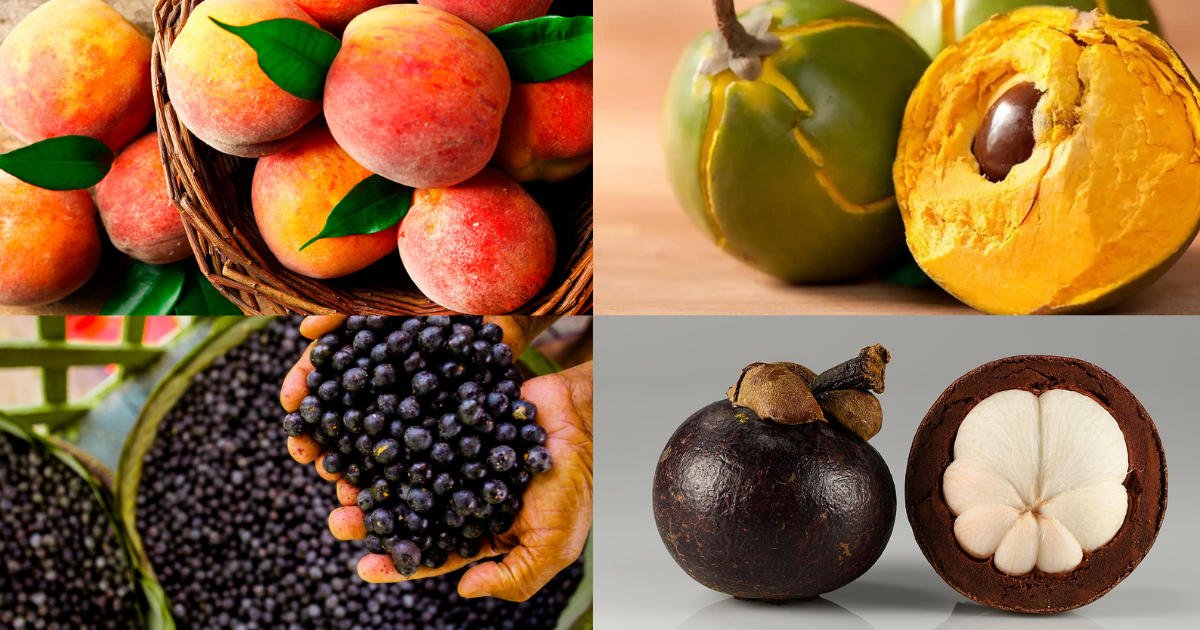 Top 10 melhores frutas do mundo